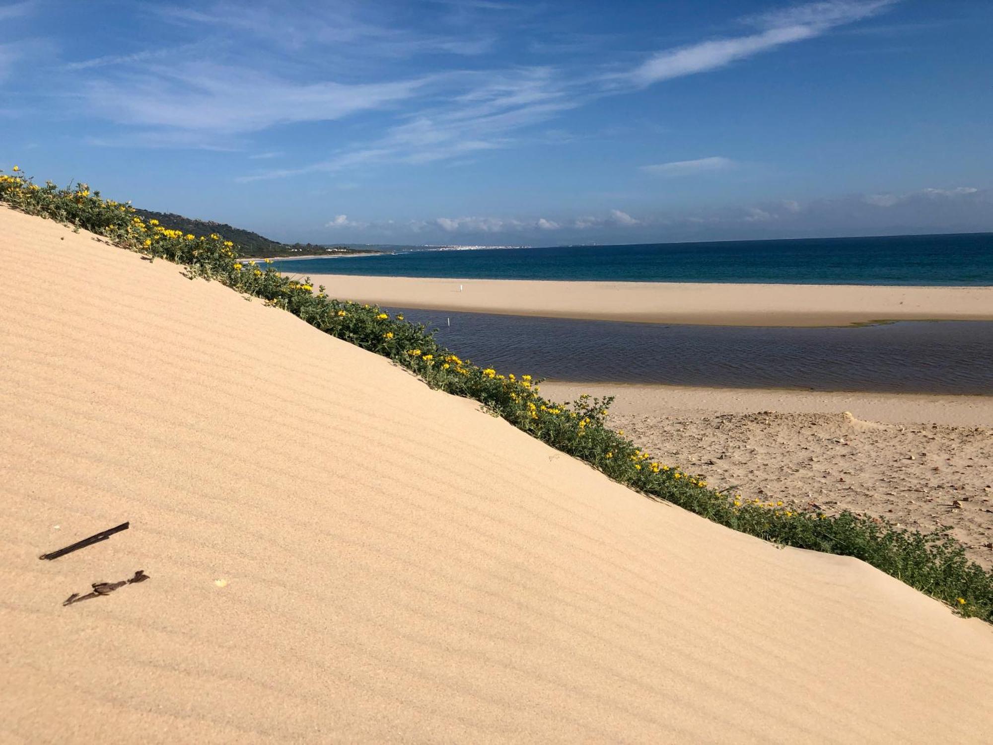 Beautiful Coastal Retreat In Punta Paloma Tarifa公寓 外观 照片